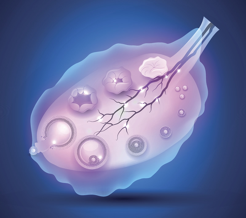 西安试管助孕机构详细对比,附成功率高的医院名单+地区患者好评榜!